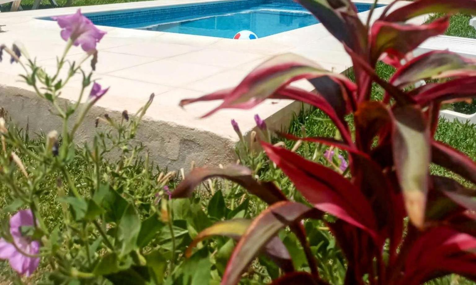 Villa Laguna A 500 M De La - Djerba